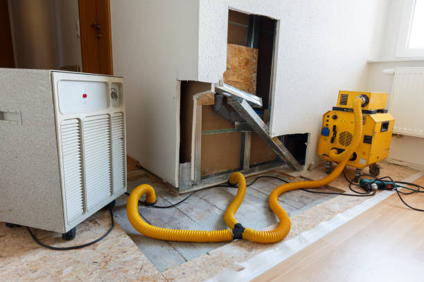 Limon, CO Mold Inspection, Removal & Remediation Company